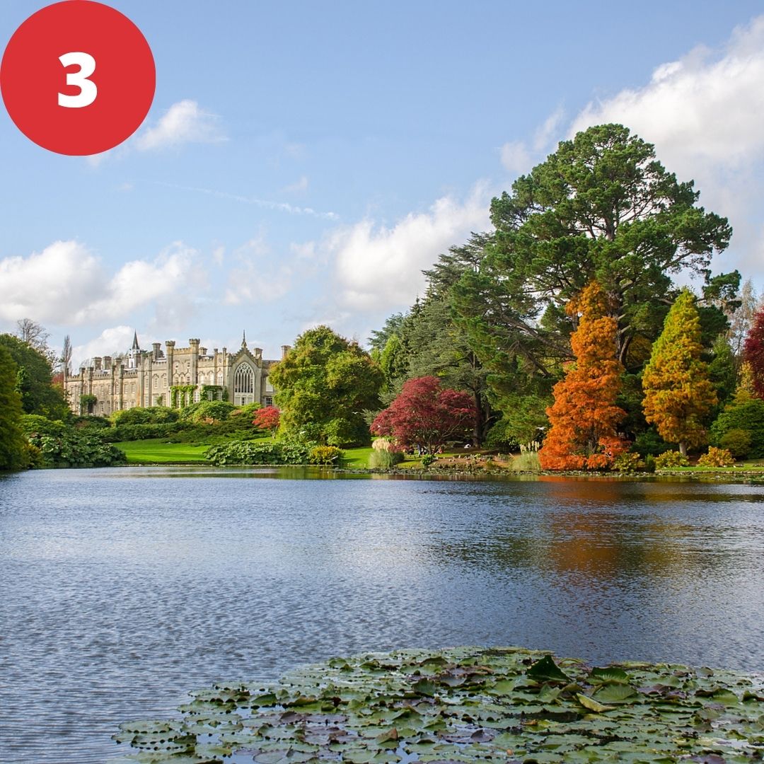 Sussex Day quiz, image 3