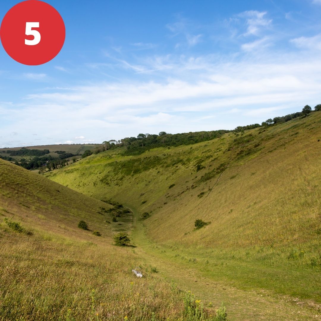 Sussex Day quiz, image 5